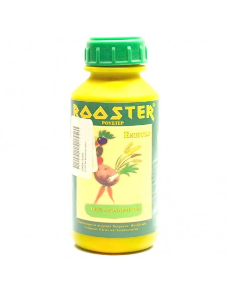 ΕΝΕΡΓΚΟ ROOSTER 250CC