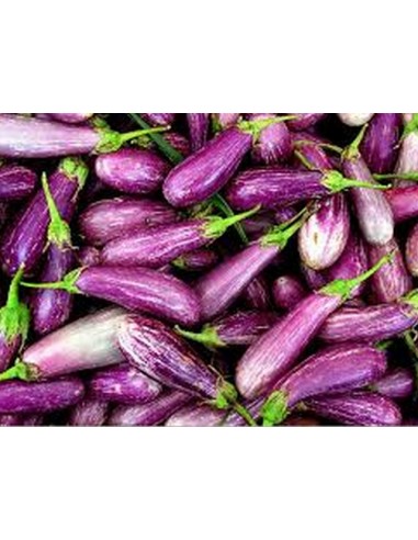 ΜΕΛΙΤΖΑΝΑ ΕΛΛΗΝΙΚΗ ΠΑΡΑΔΟΣΙΑΚΗ...