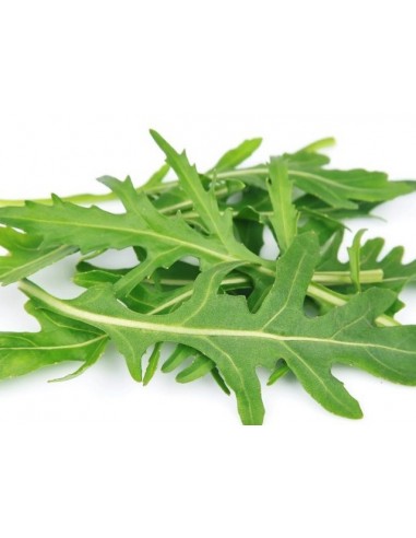 ΡΟΚΑ ΑΓΡΙΑ ΕΝΤΟΝΑ ΠΙΚΑΝΤΙΚΗ ΦΑΚ.1ΓΡ