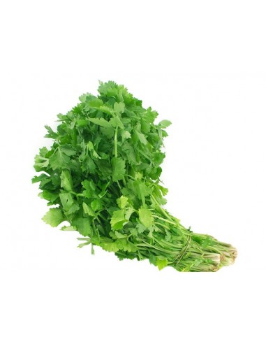 ΣΕΛΙΝΟ ΠΟΛΥ ΑΡΩΜΑΤΙΚΟ ΕΛΛΗΝΙΚΟ...