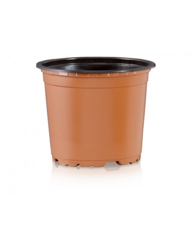 ΓΛΑΣΤΡΑ ΦΥΤΩΡΙΟΥ ΜΑΛΑΚΗ VCG 12