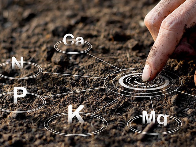 ΣΠΟΡΟΣ ΚΟΥΚΙΑ ΓΙΑ ΧΛΩΡΗ... 2