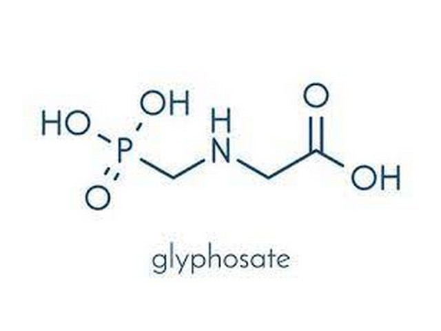ΖΙΖΑΝΙΟΚΤΟΝΟ ROUNDUP GOLD...