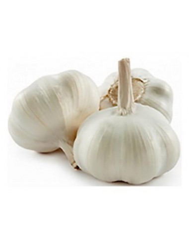 ΣΚΟΡΔΟ ΣΠΟΡΟΣ ΣΕ ΣΚΕΛΙΔΕΣ