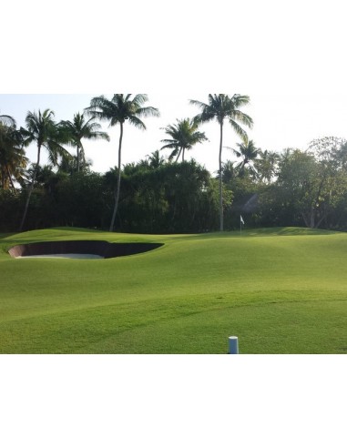 ΣΠΟΡΟΣ ΓΚΑΖΟΝ - PASPALUM NOTATUM -2500GR