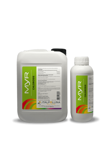 ΛΙΠΑΣΜΑ MYR ΚΑΤΑ ΤΩΝ ΧΛΩΡΩΣΕΩΝ !