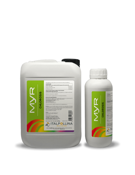 ΛΙΠΑΣΜΑ MYR ΚΑΤΑ ΤΩΝ ΧΛΩΡΩΣΕΩΝ !