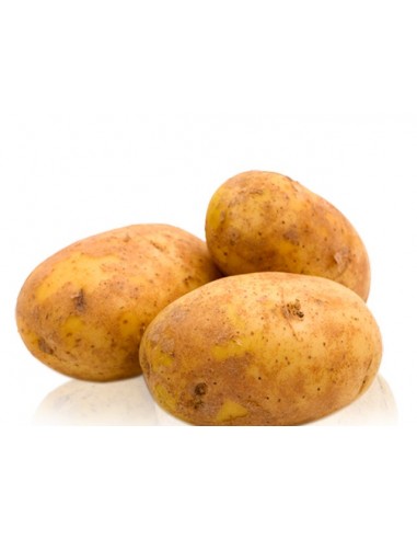 ΠΑΤΑΤΟΣΠΟΡΟΣ KENNEBEC ΜΕ ΤΟ ΚΙΛΟ...