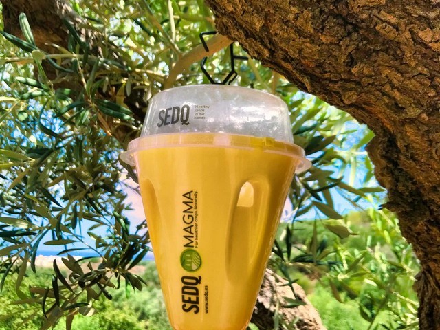 FLY PACK DACUS ΠΑΓΙΔΑ 2